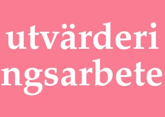 Synonym utvärderingsarbete
