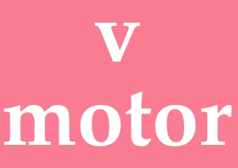 Synonym v-motor