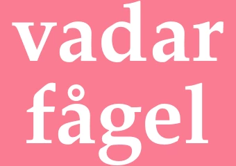 Synonym vadarfågel