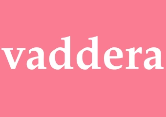 Synonym vaddera
