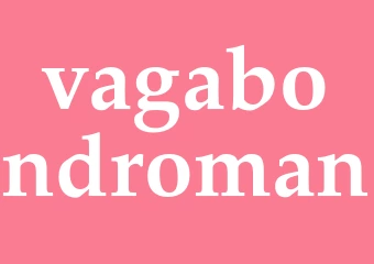 Synonym vagabondroman