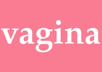 Synonym vagina