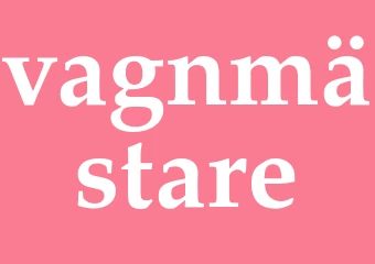 Synonym vagnmästare