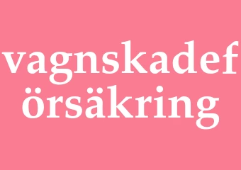 Synonym vagnskadeförsäkring