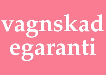 Synonym vagnskadegaranti