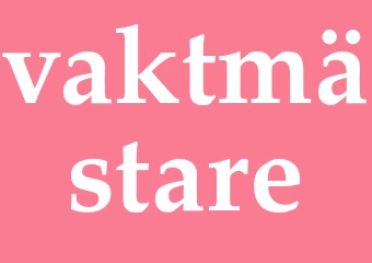 Synonym vaktmästare