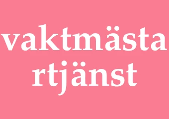 Synonym vaktmästartjänst