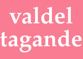 Synonym valdeltagande