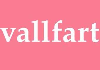 Synonym vallfart