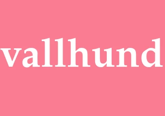 Synonym vallhund
