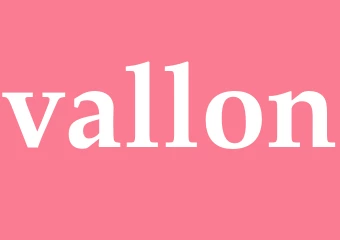 Synonym vallon
