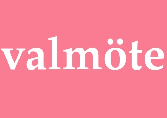 Synonym valmöte