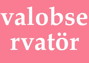 Synonym valobservatör