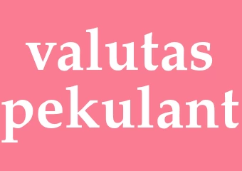 Synonym valutaspekulant