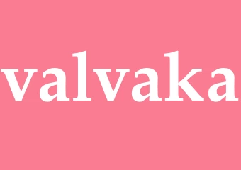 Synonym valvaka