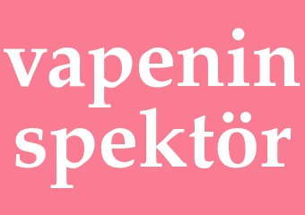 Synonym vapeninspektör