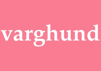 Synonym varghund