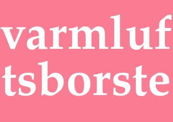 Synonym varmluftsborste