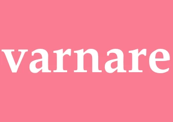 Synonym varnare