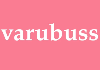 Synonym varubuss