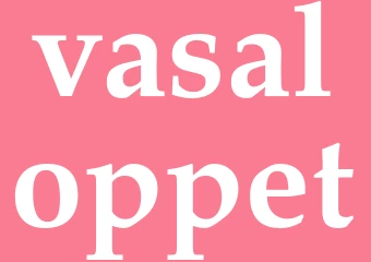 Synonym vasaloppet