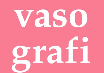Synonym vasografi
