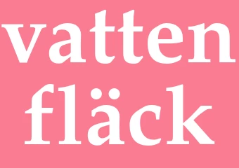 Synonym vattenfläck