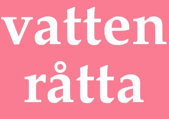 Synonym vattenråtta