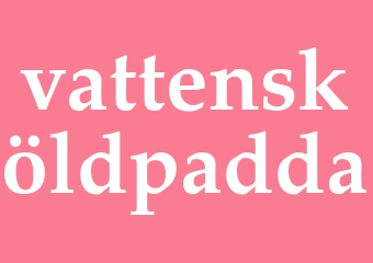 Synonym vattensköldpadda