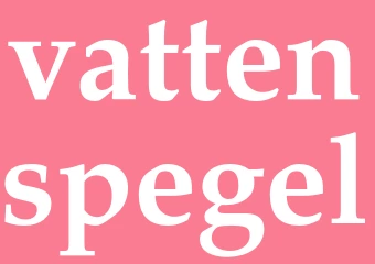 Synonym vattenspegel