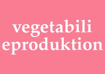 Synonym vegetabilieproduktion