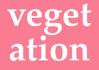 Synonym vegetation