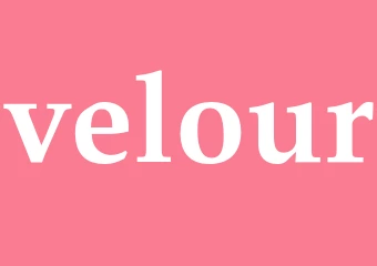 Synonym velour