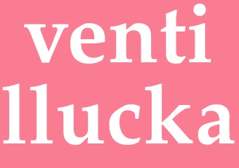 Synonym ventillucka