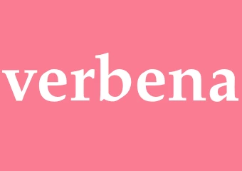 Synonym verbena