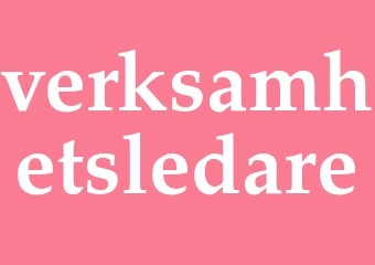 Synonym verksamhetsledare
