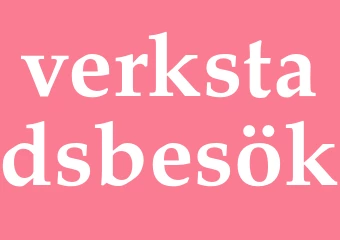 Synonym verkstadsbesök