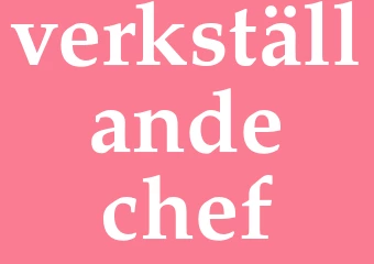 Synonym verkställande chef