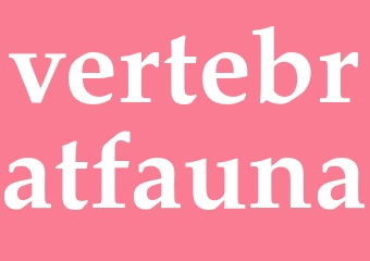 Synonym vertebratfauna