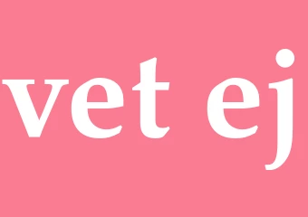 Synonym vet ej