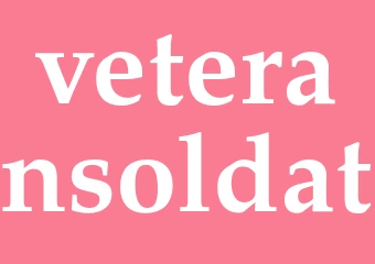 Synonym veteransoldat