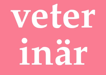 Synonym veterinär