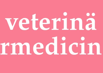 Synonym veterinärmedicin