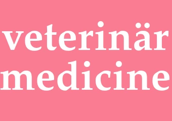 Synonym veterinärmedicine