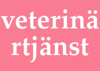 Synonym veterinärtjänst