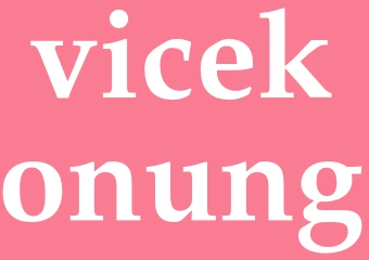 Synonym vicekonung