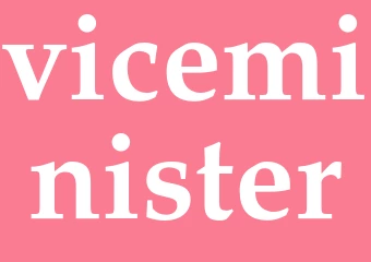 Synonym viceminister