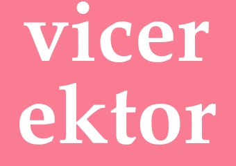 Synonym vicerektor