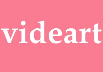 Synonym videart