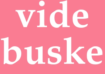 Synonym videbuske
